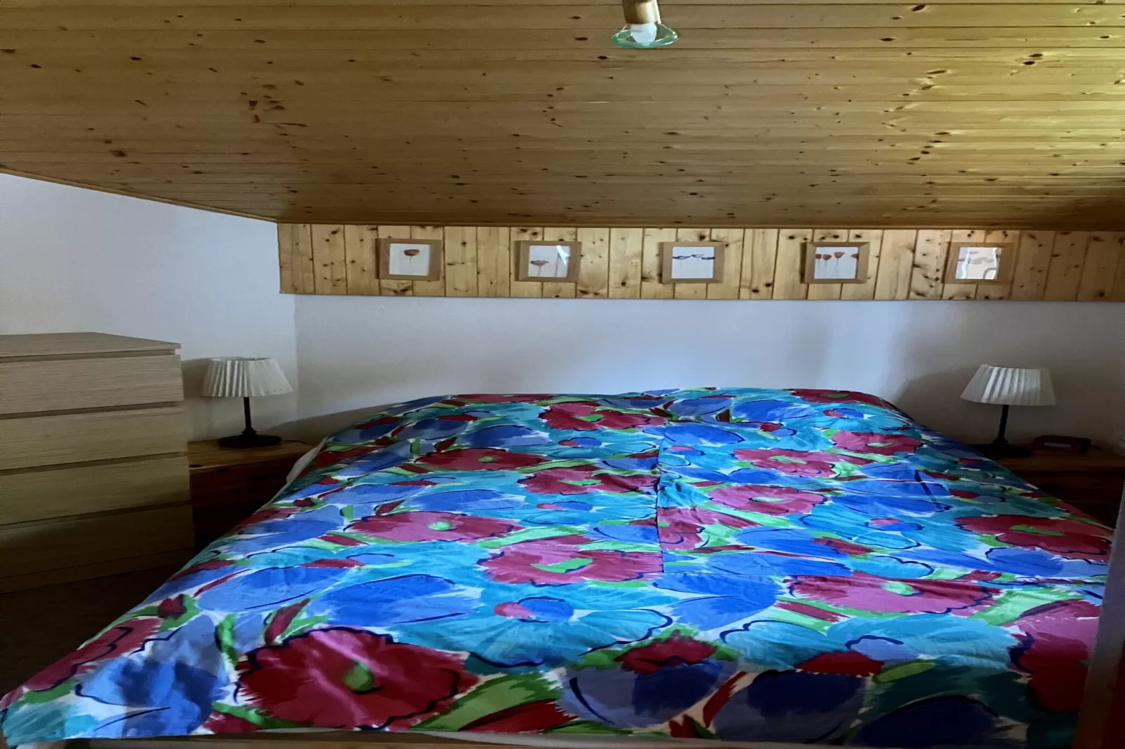 Forsythia FA29 FAMILY 1& NATURE 8 Pers.-Bedroom