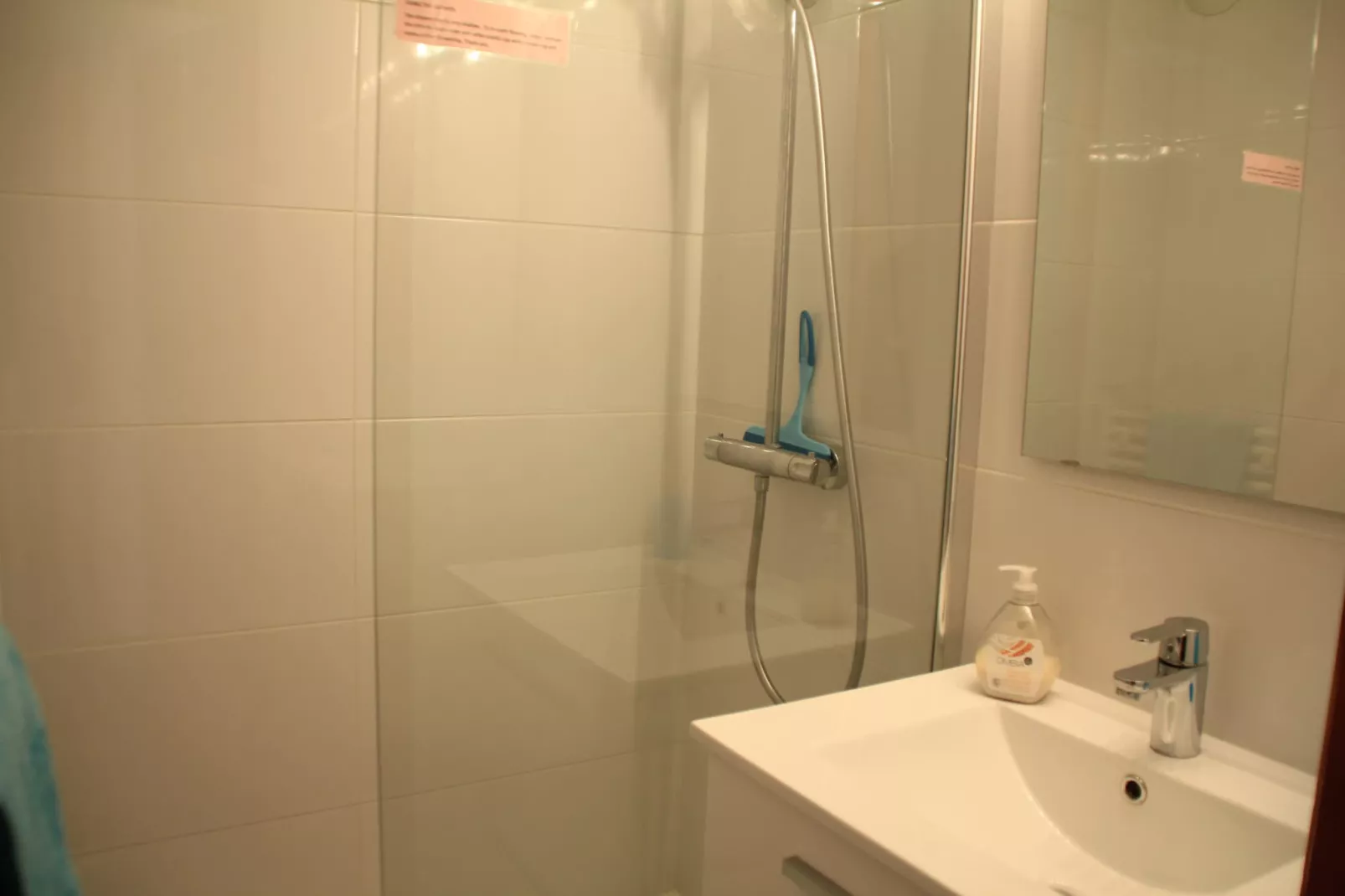 Myrtilles MR27 TELECABINE & NATURE 6 pers.-Badezimmer