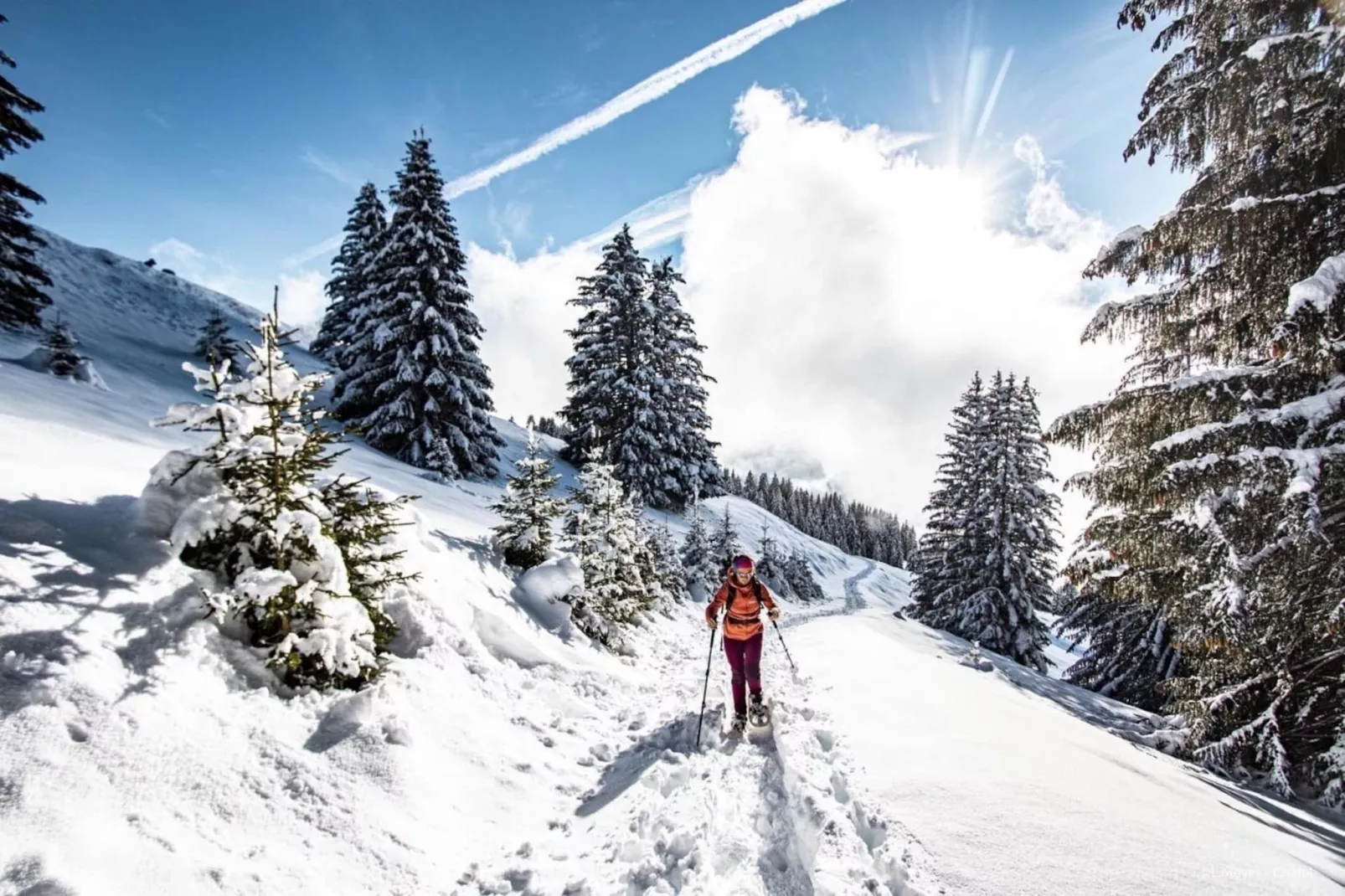 Fermes FMA23 COSY & MOUNTAIN 5 Pers.-Nicht getaggt