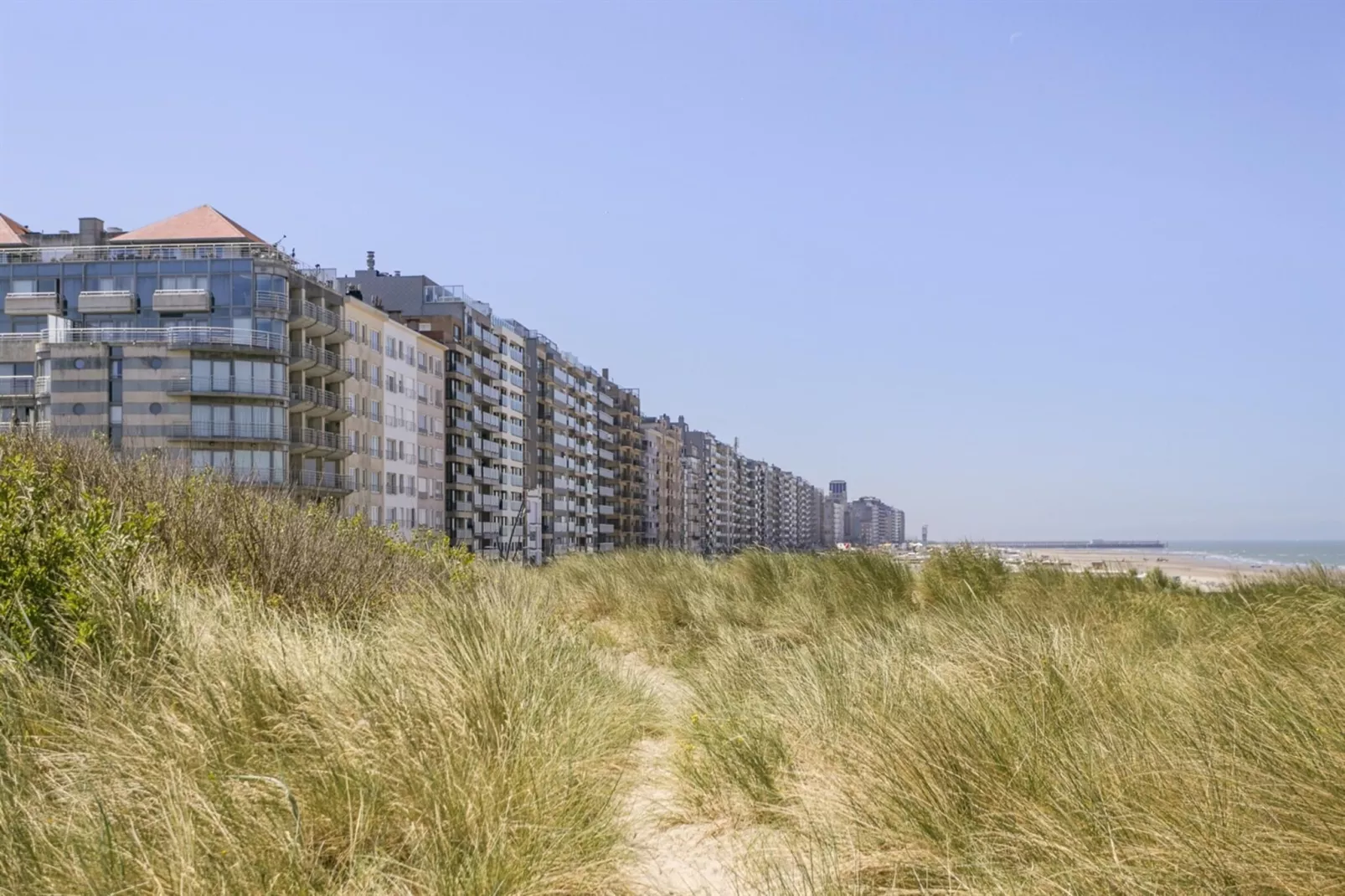 SEA SWALLOW - 1ST-Gebiete Sommer 1 km