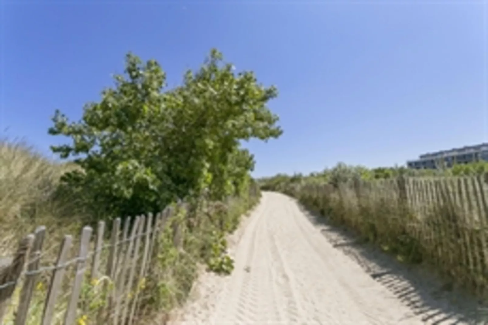 SEA SWALLOW - 1ST-Gebiete Sommer 1 km