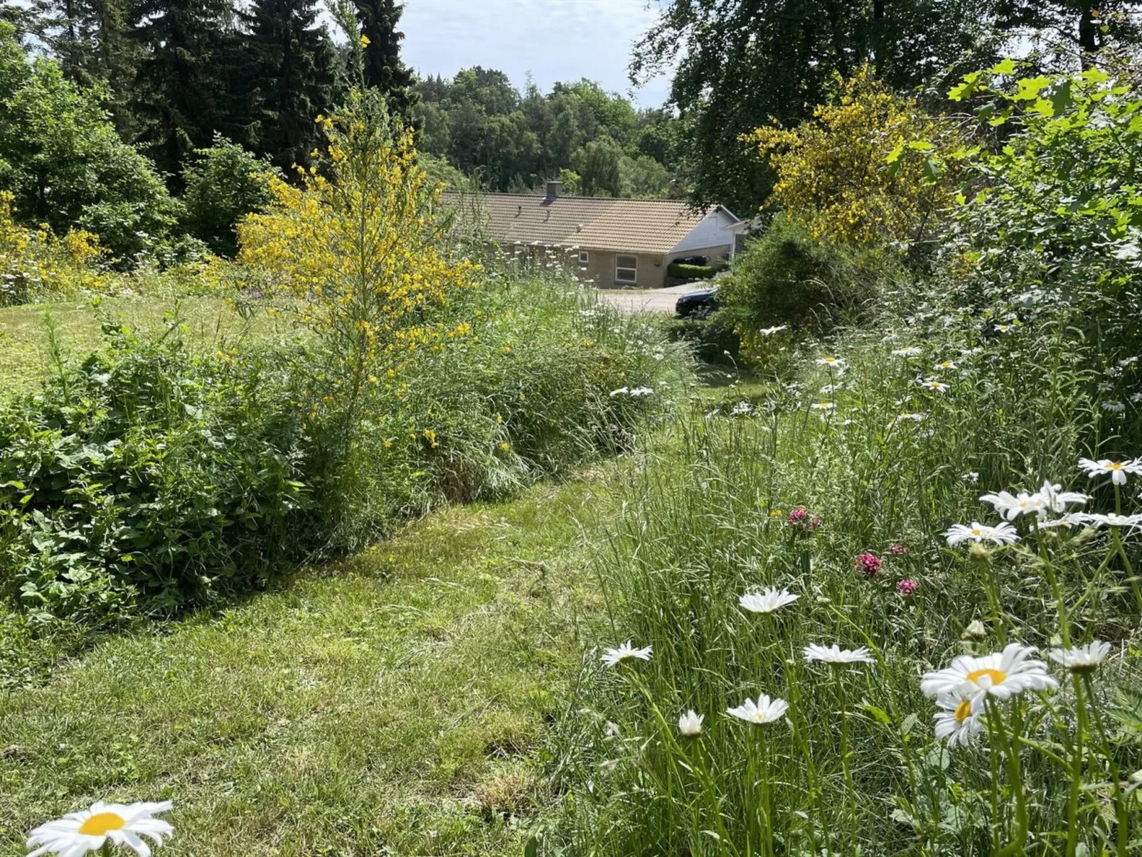 "Henryette" - 1.5km from the sea-Outside