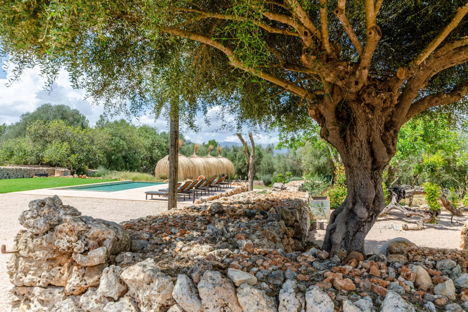 Agroturismo Cal Tio 1, YourHouse-Terrace