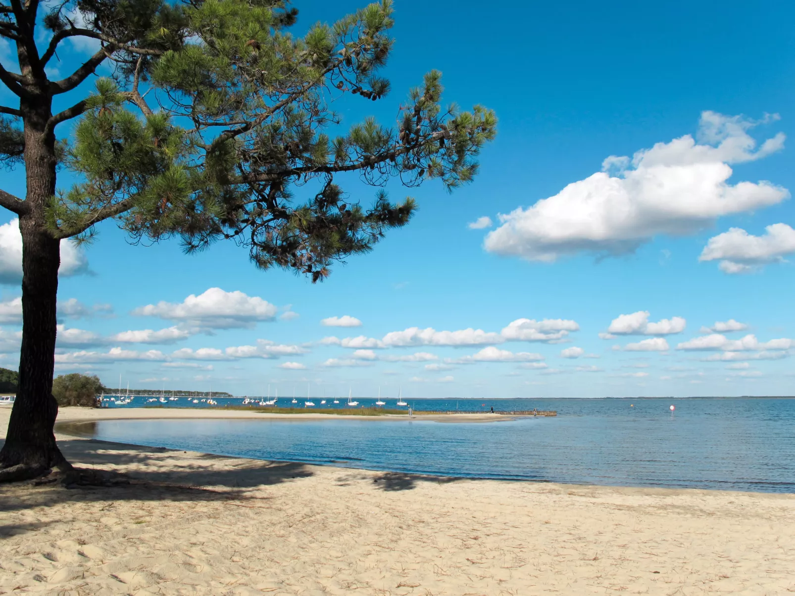 Les Grands Pins-Area
