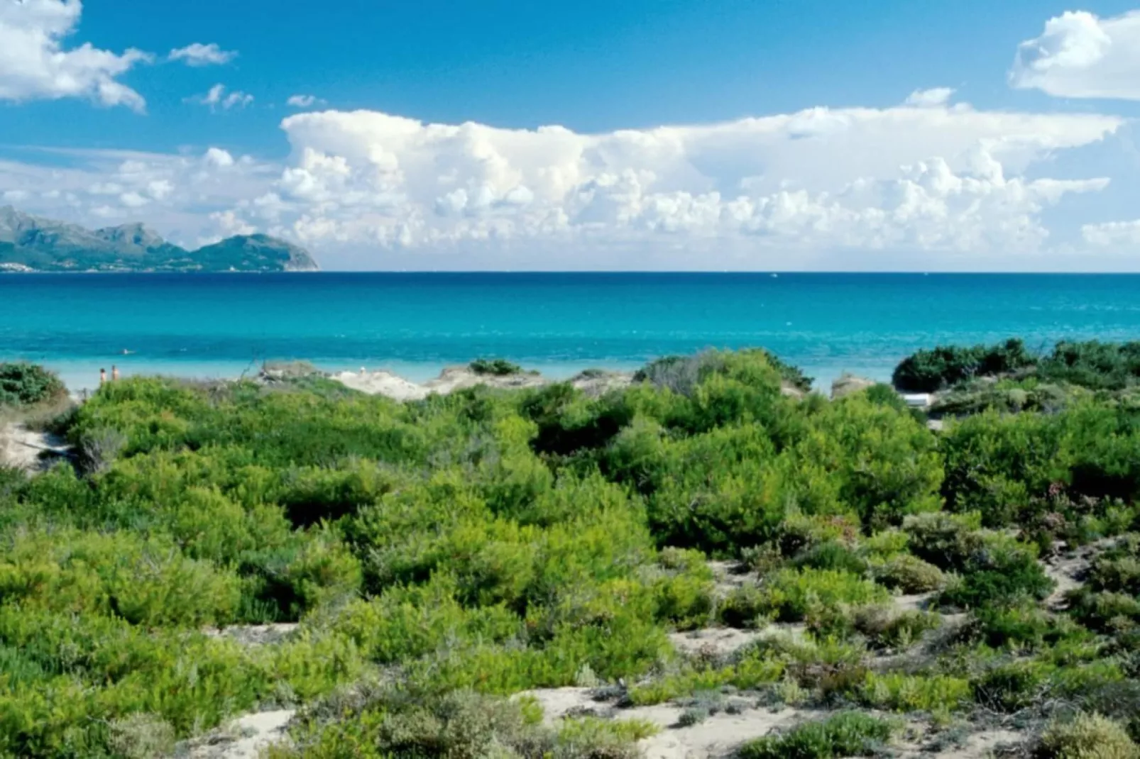 Villa Campins-Areas summer 5km