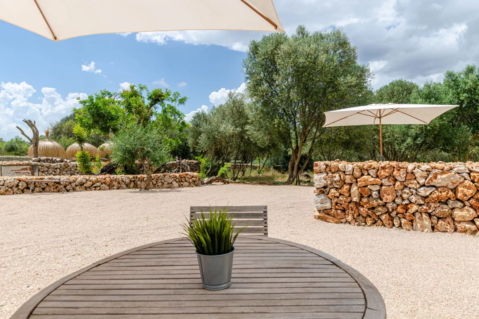 Agroturismo Cal Tio 4, YourHouse-Terrace
