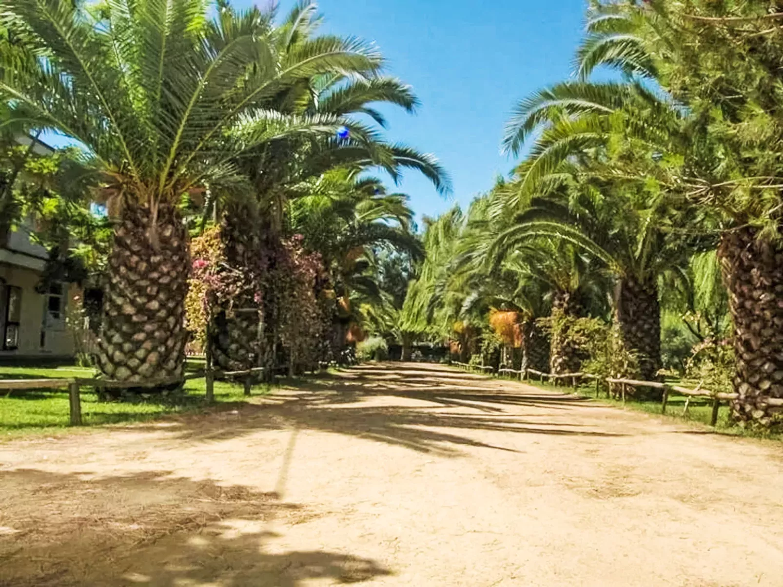 Camping Iscrixedda-Outside
