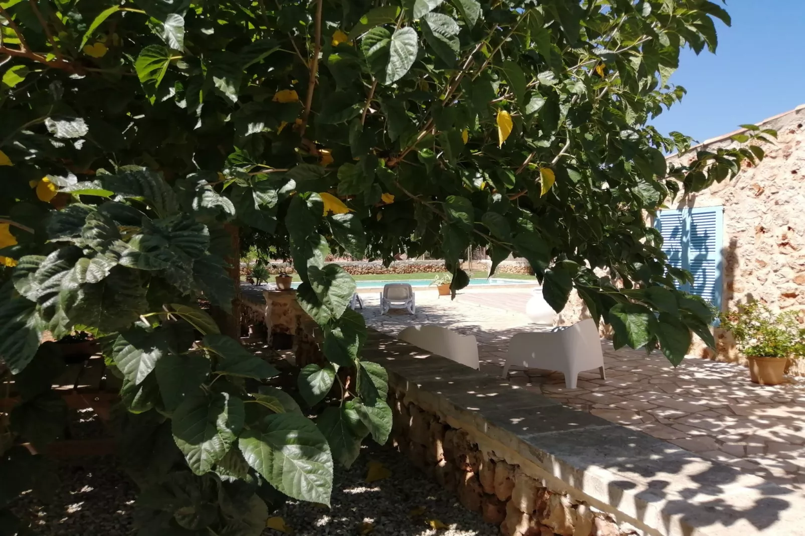 YourHouse Sa Estada-Gardens summer