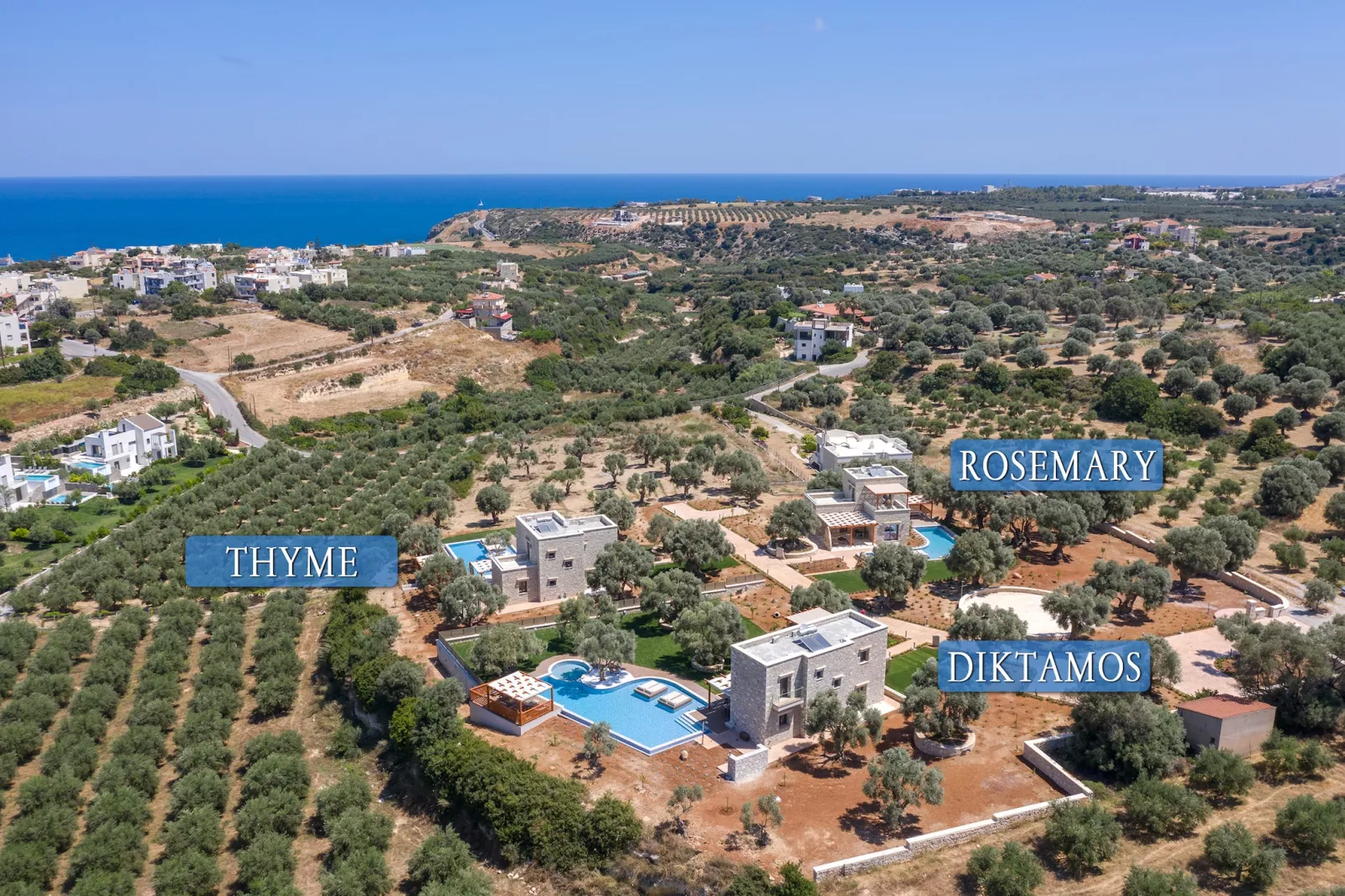Thyme-Outdoor