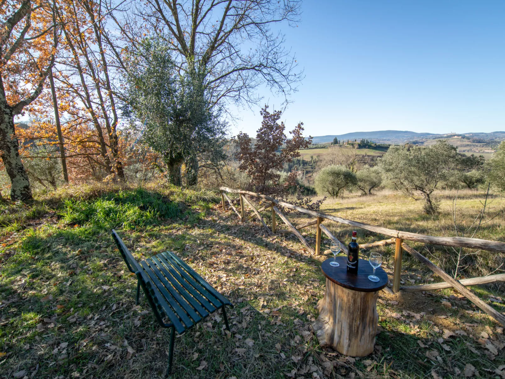 Villa Angiolino-Outside