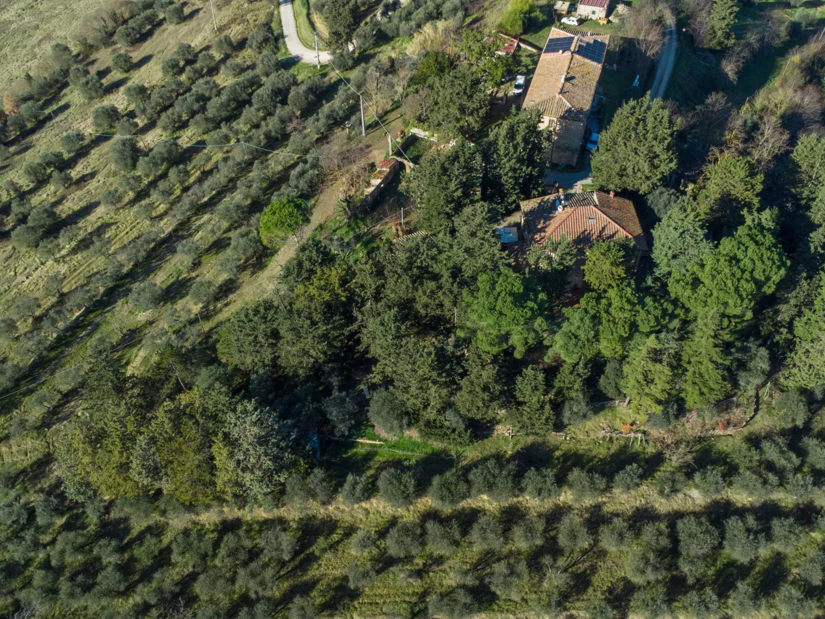 Villa Angiolino-Outside