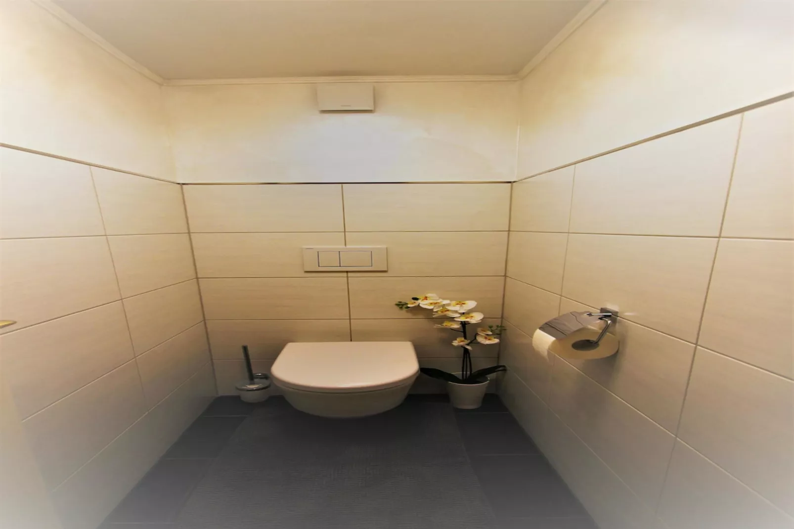 Menardi C-Bathroom