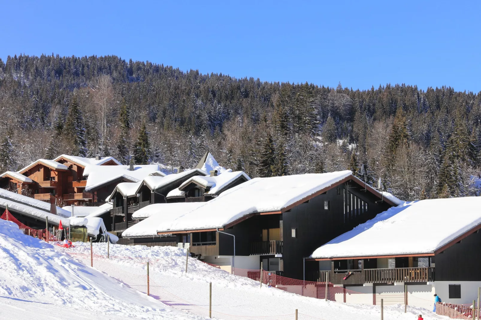 Les Sitelles N°11 - 3P6-Area winter 1km
