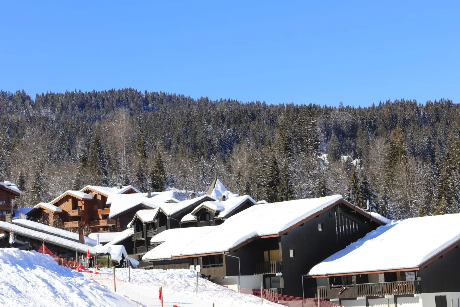 Les Sitelles N°11 - 3P6-Area winter 1km