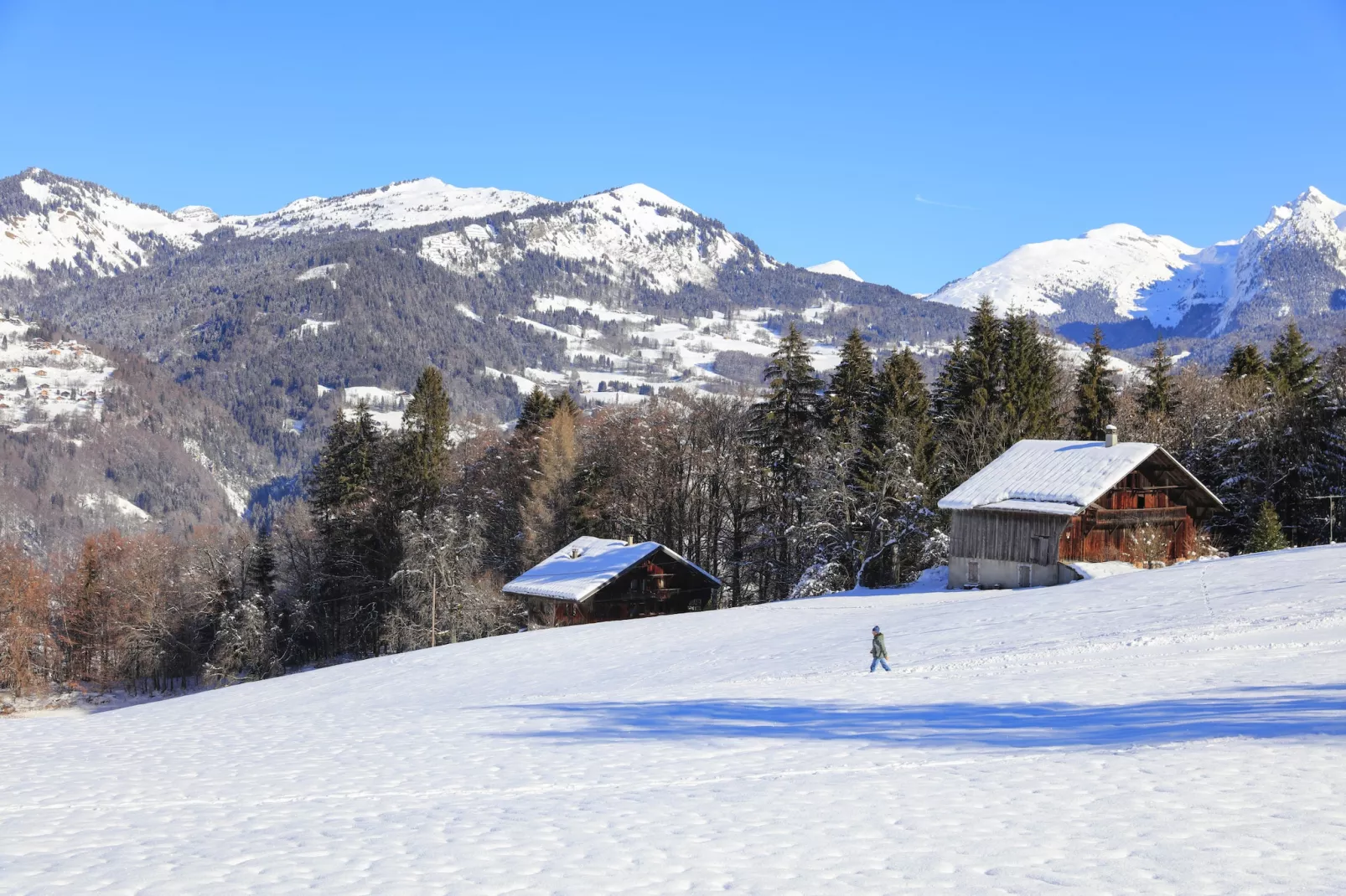 Les Sitelles N°11 - 3P6-Area winter 5km