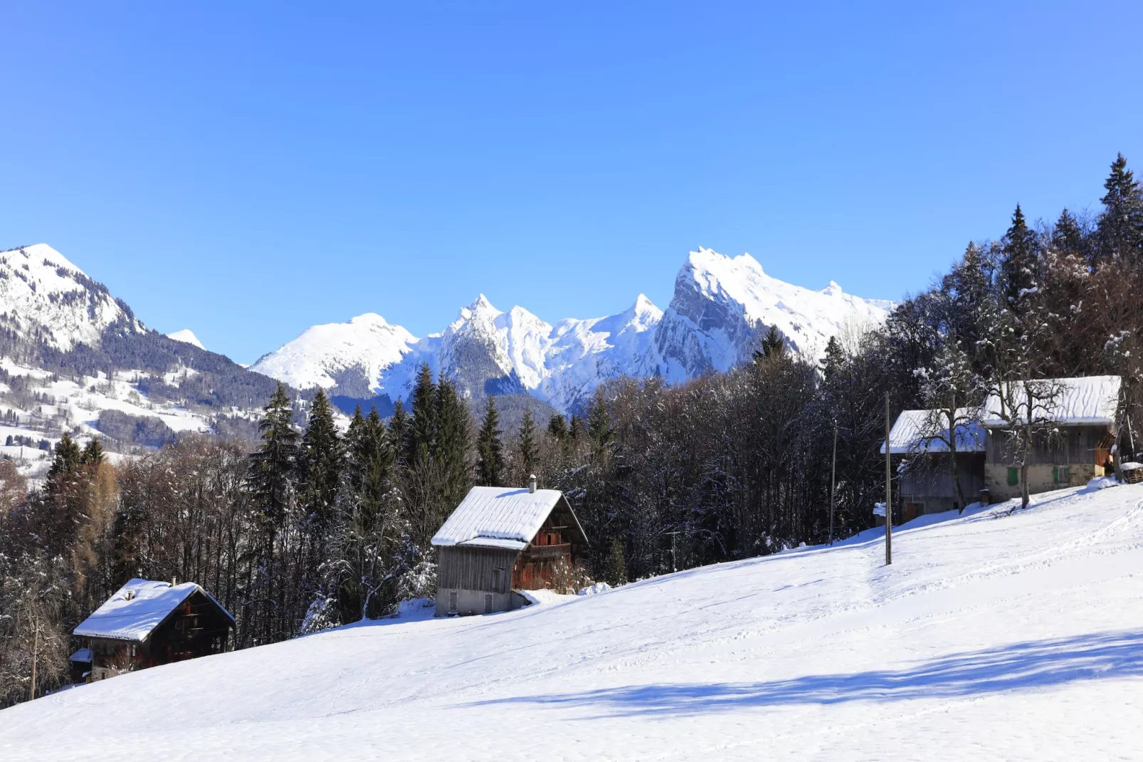 Les Sitelles N°11 - 3P6-Area winter 5km