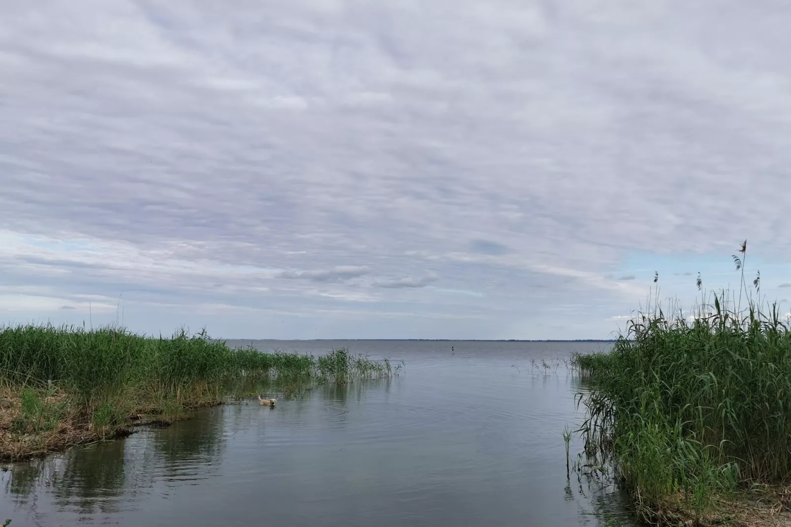 Urlaub auf der Insel Usedom-Areas summer 1km