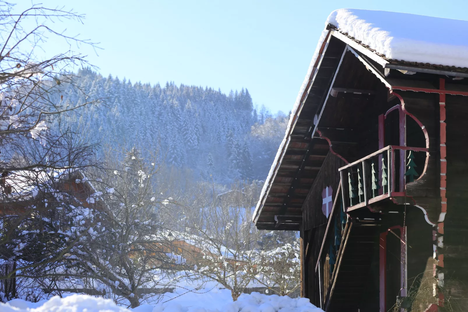 Grand Morillon C N°215 - 2P4-Outdoor