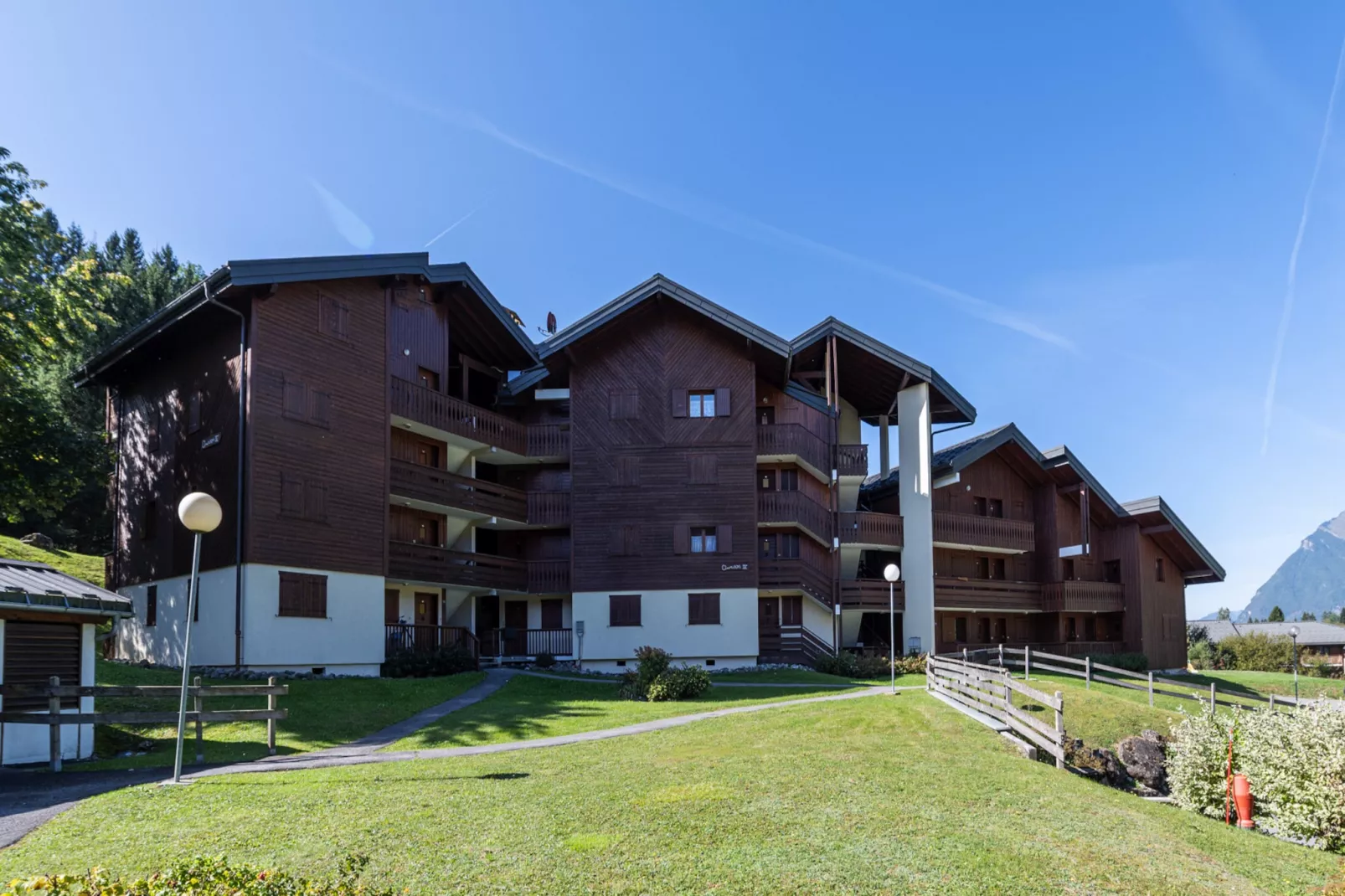 OURSONS 4 N°30 - 2P6-Outdoor