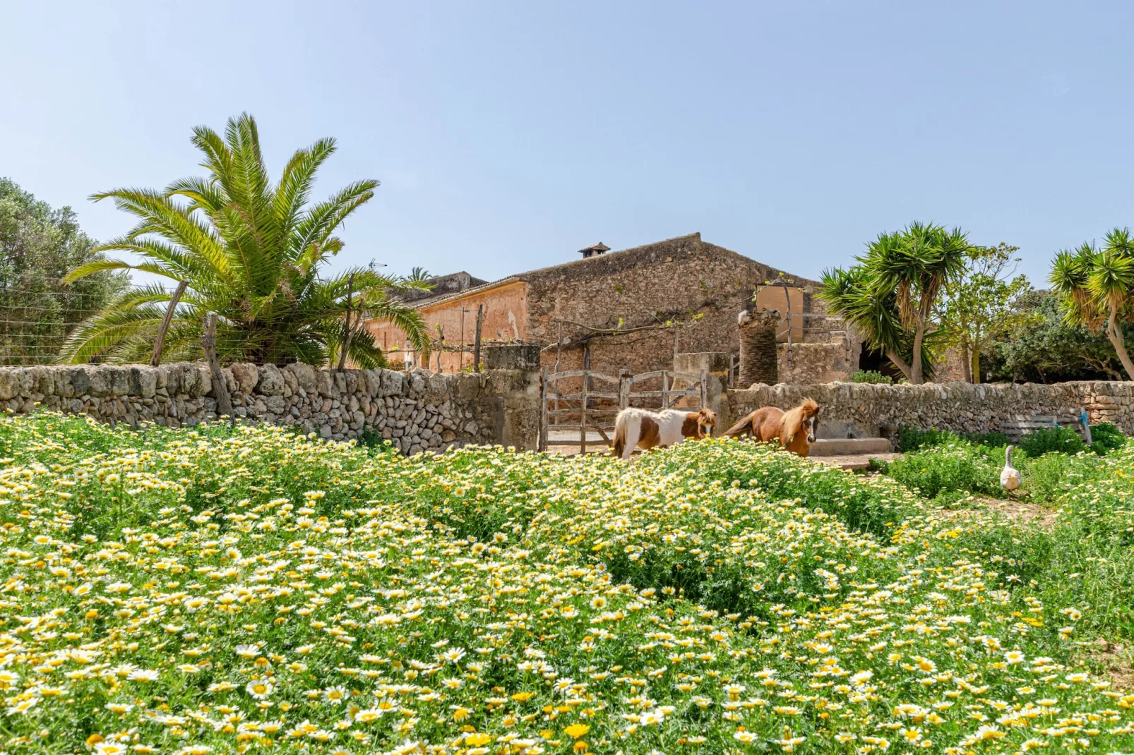 YourHouse Son Sala Agroturismo Vina Vella - doble-Extérieur