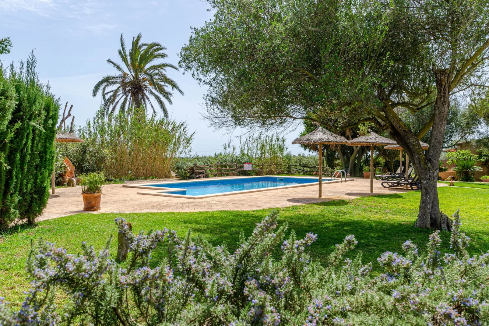 YourHouse Son Sala Agroturismo Vina Vella - doble-Jardin d'été