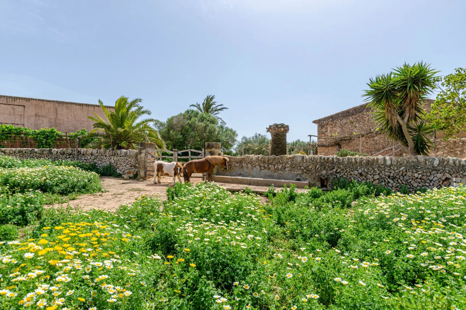 YourHouse Son Sala Agroturismo Vina Vella - doble-Extérieur