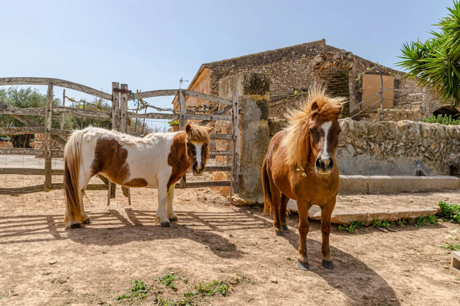 YourHouse Son Sala Agroturismo Vina Vella - doble-Extérieur