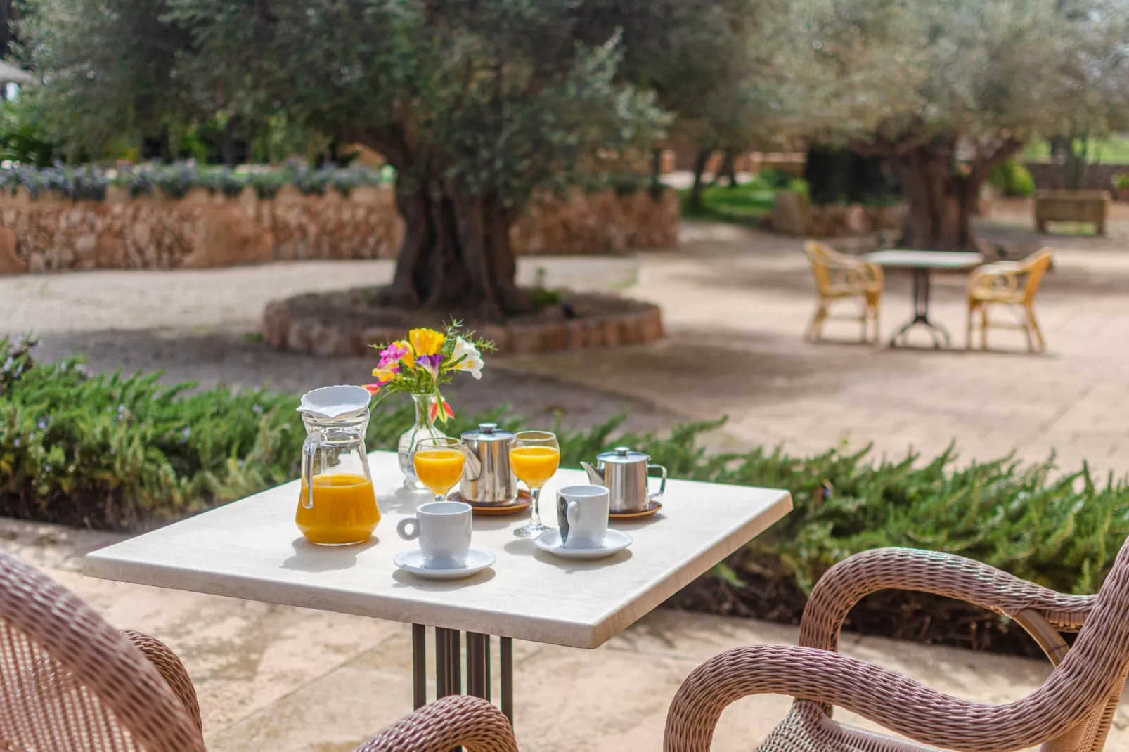 YourHouse Son Sala Agroturismo Vina Vella - doble-Terrasse