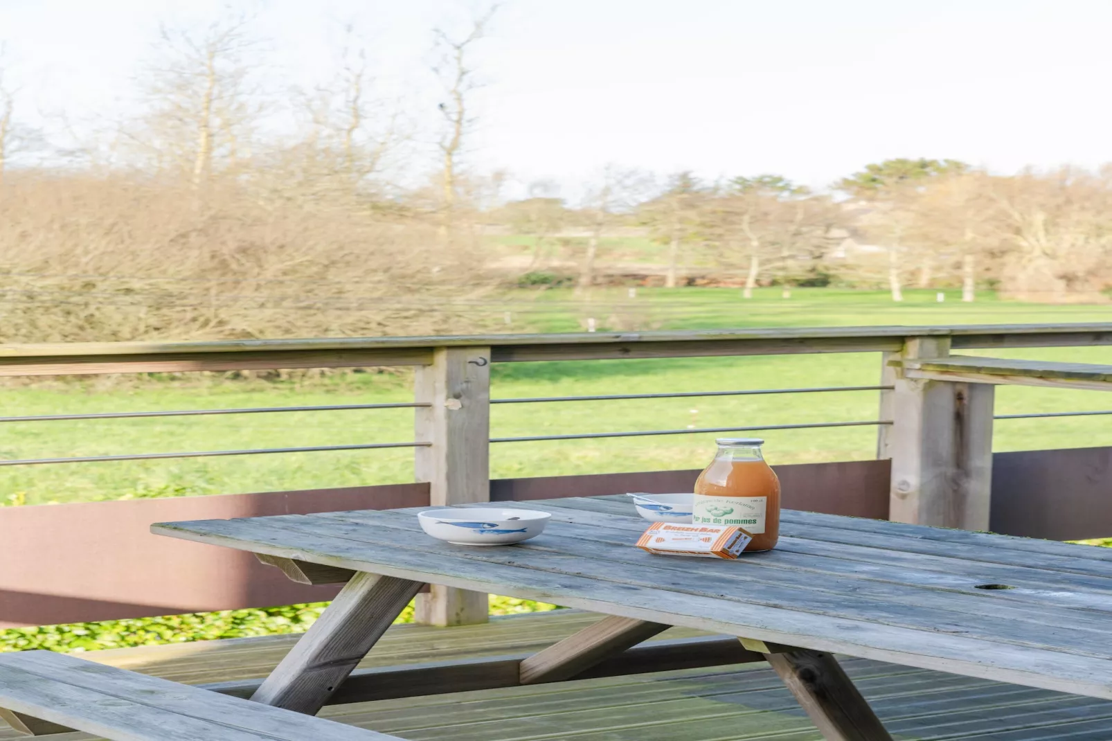ROSCAROC - ENEZ AR BEG (côté jardin) - Portsall-Terrasse