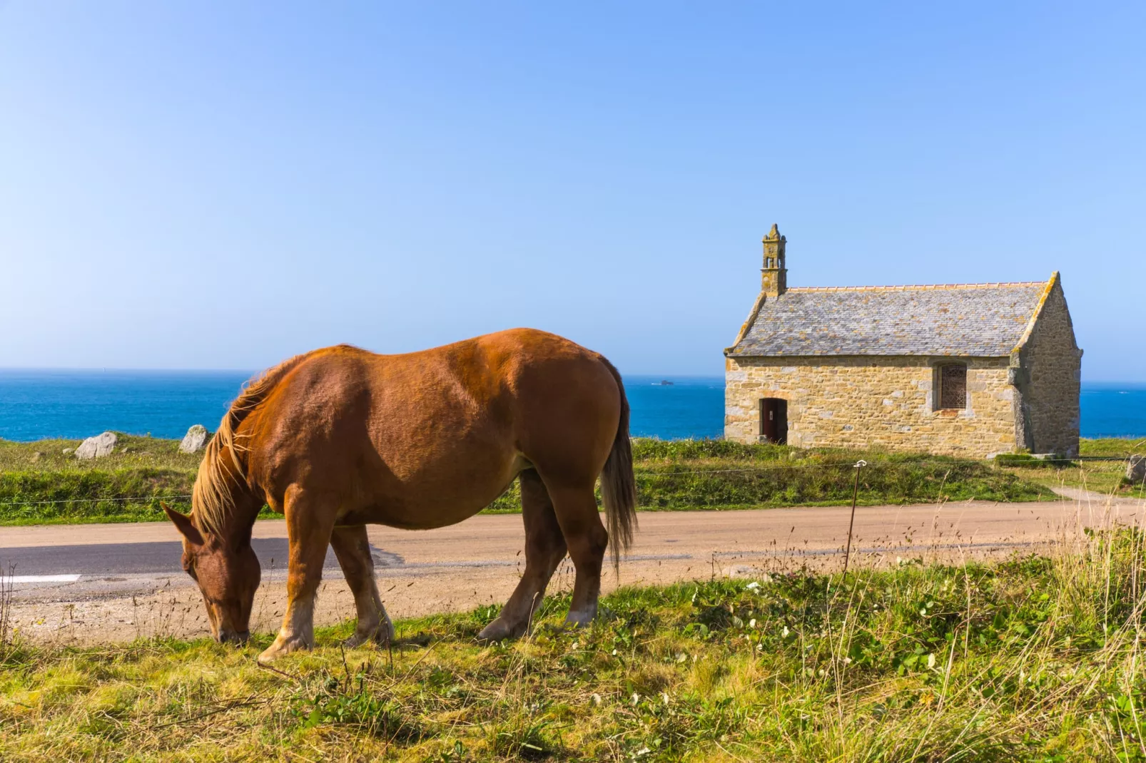ROSCAROC - ENEZ AR BEG (côté jardin) - Portsall-Extérieur