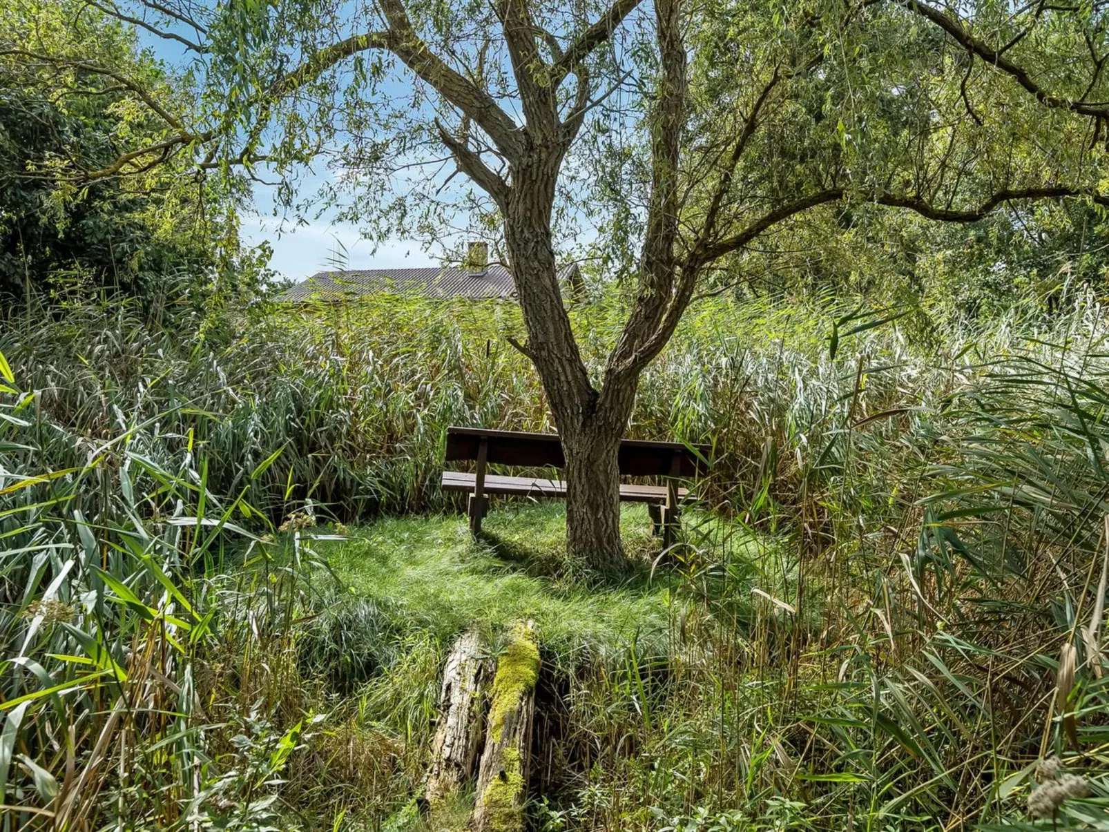 "Svanborg" - 40m from the sea-Draußen