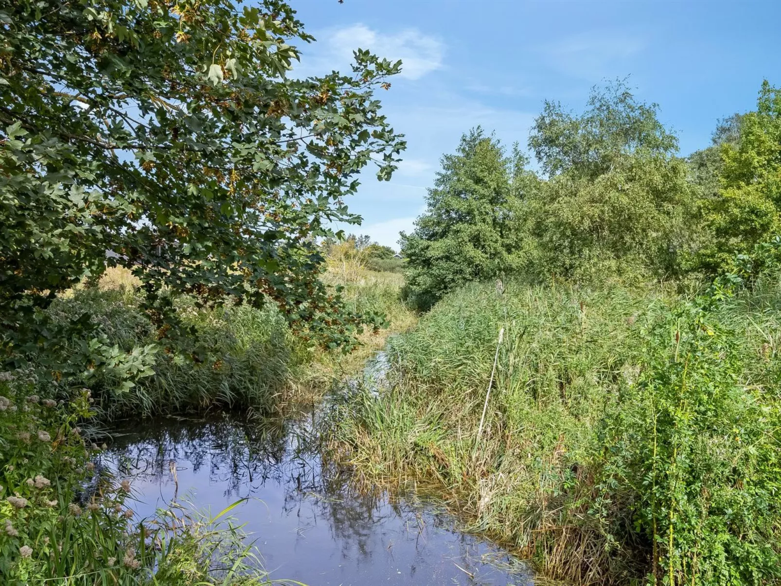 "Svanborg" - 40m from the sea-Draußen