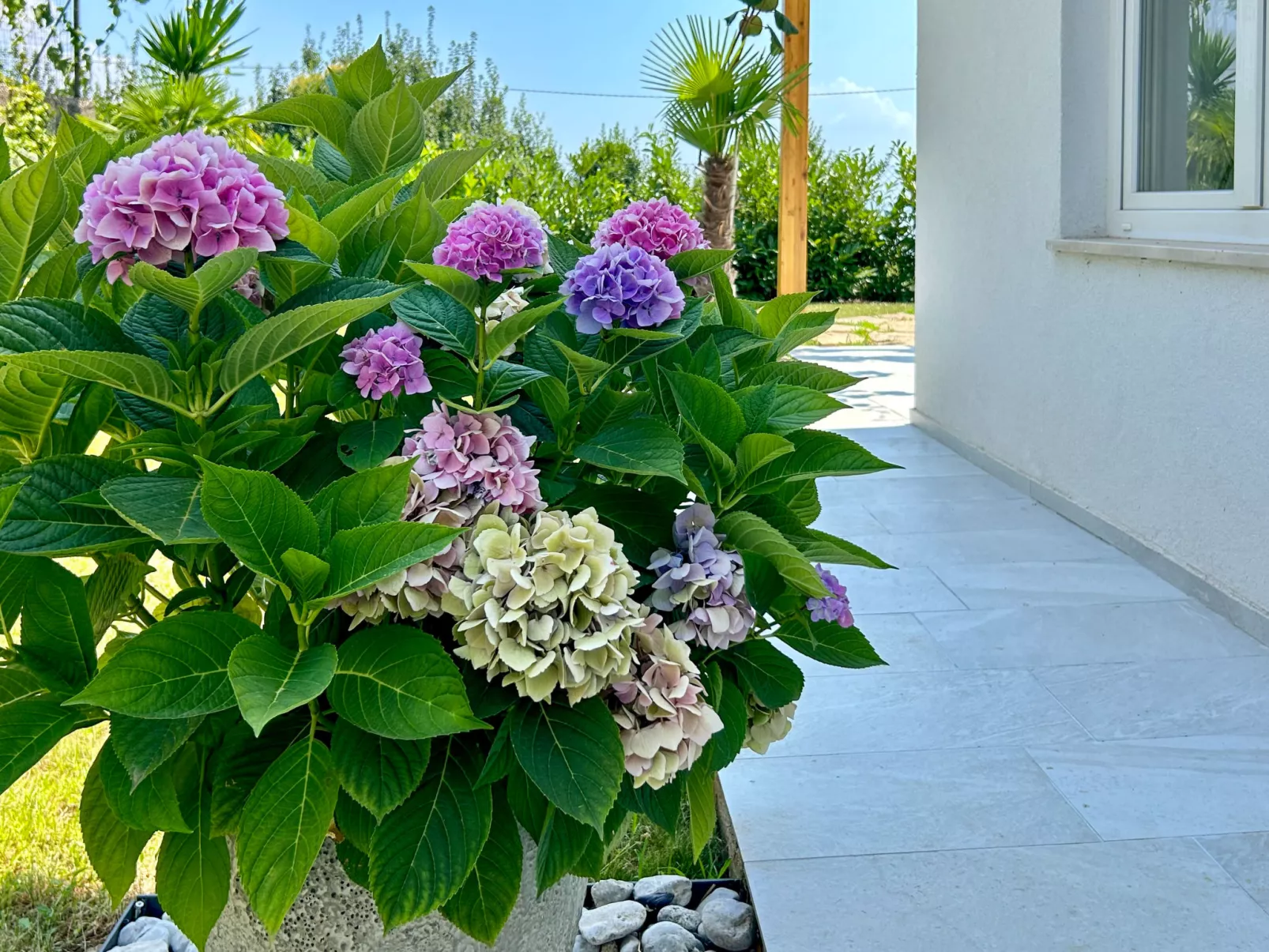 Villa Palma-Inside
