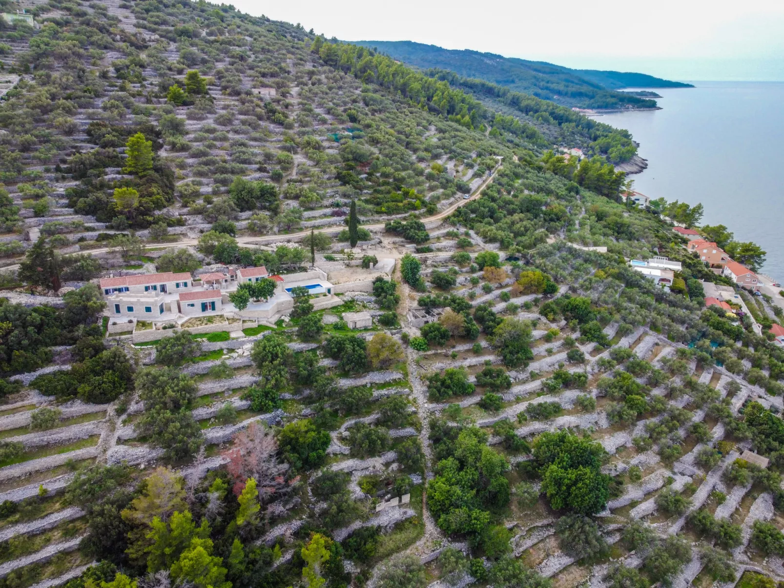 Brankovi Dvori-Outside