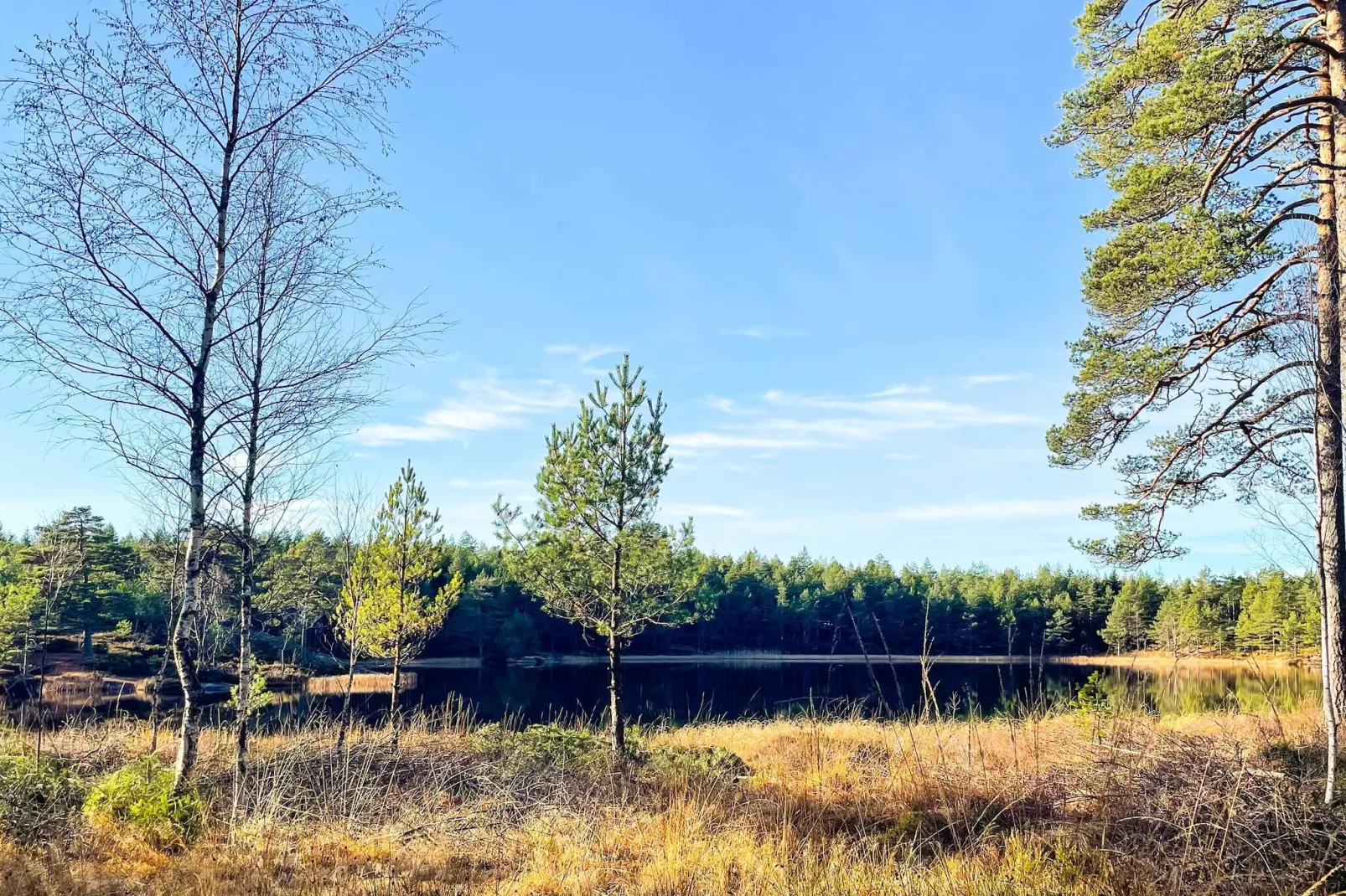 4 person holiday home in BÄCKEFORS-Not tagged