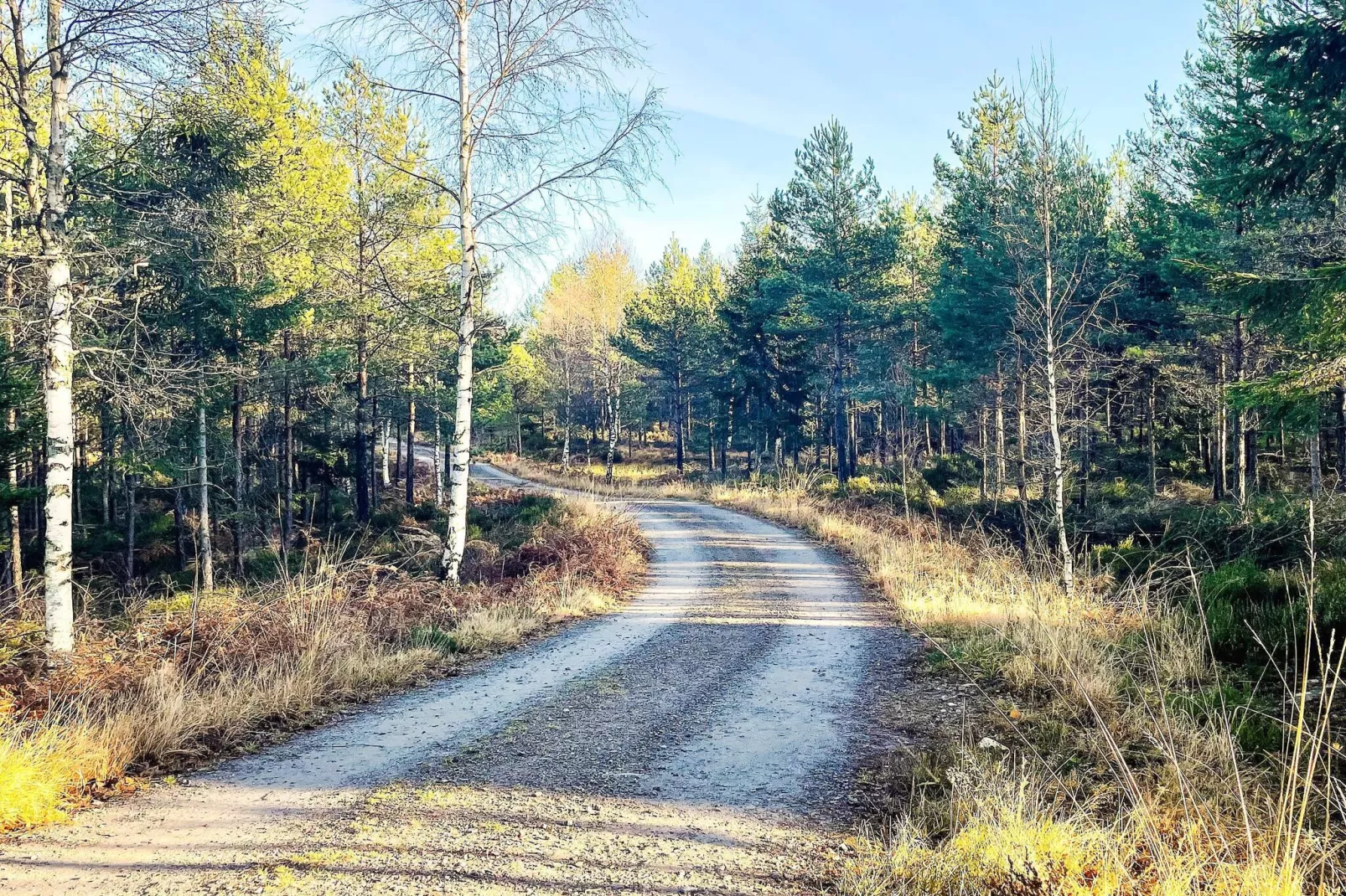 4 person holiday home in BÄCKEFORS-Not tagged