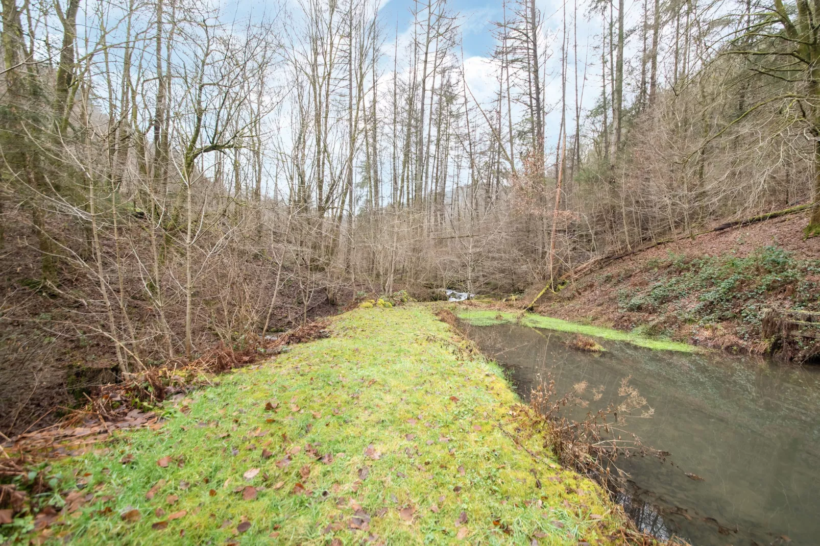 La Rivière-Gebiete Sommer 1 km