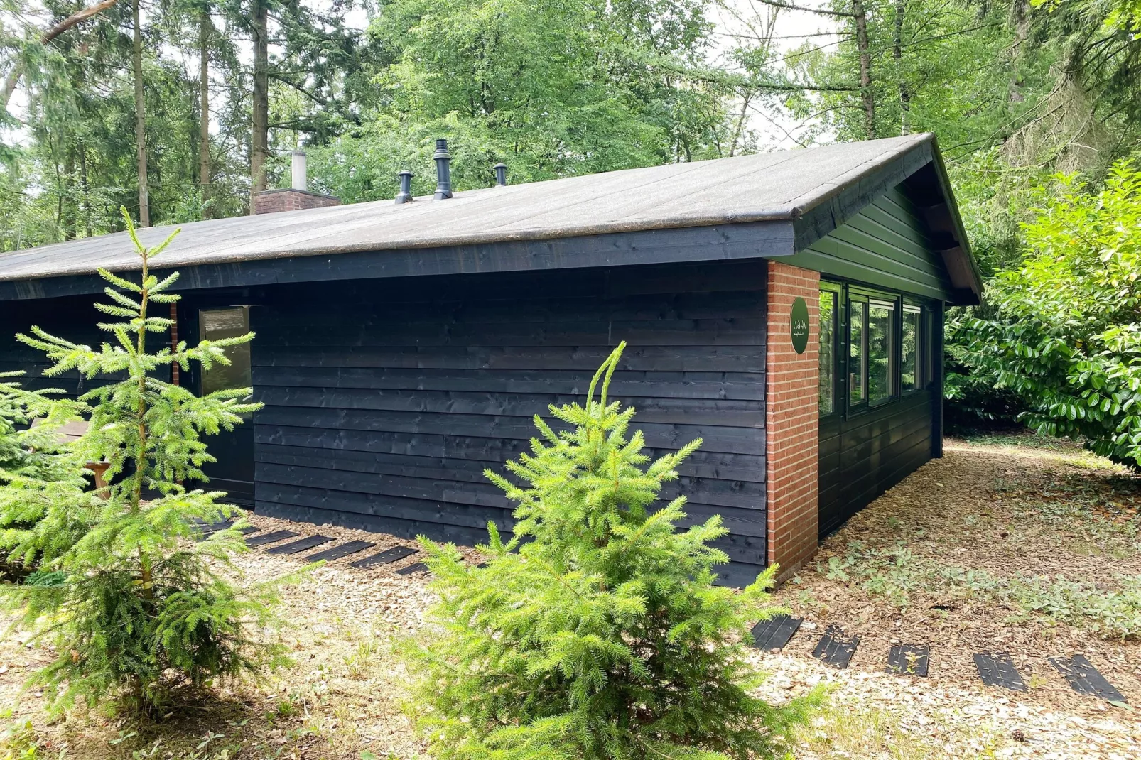 Dutch Cabin Houses C67-Gärten Sommer