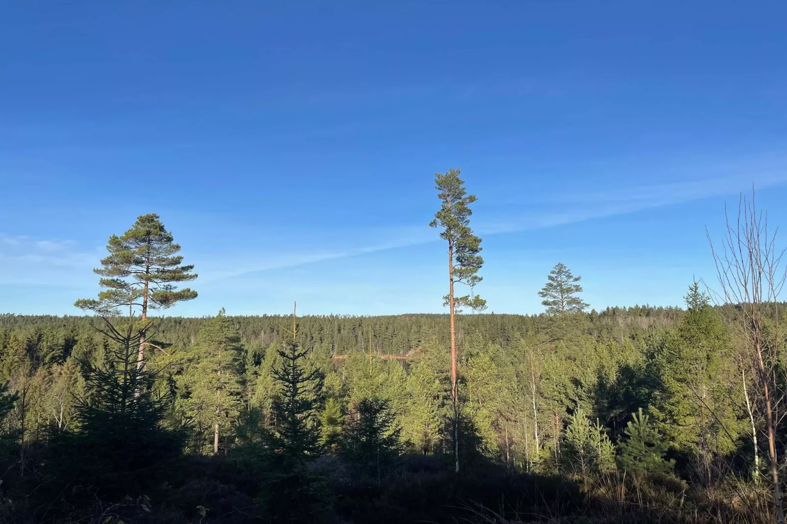 10 person holiday home in BÄCKEFORS-Outdoor