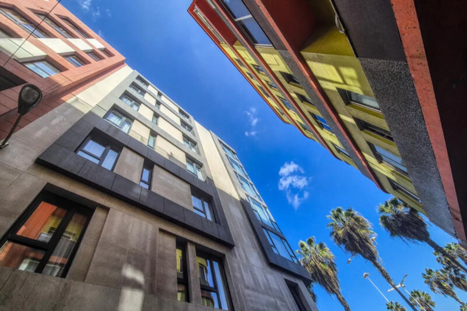 Studio à Las Palmas de Gran Canaria-Exterior summer