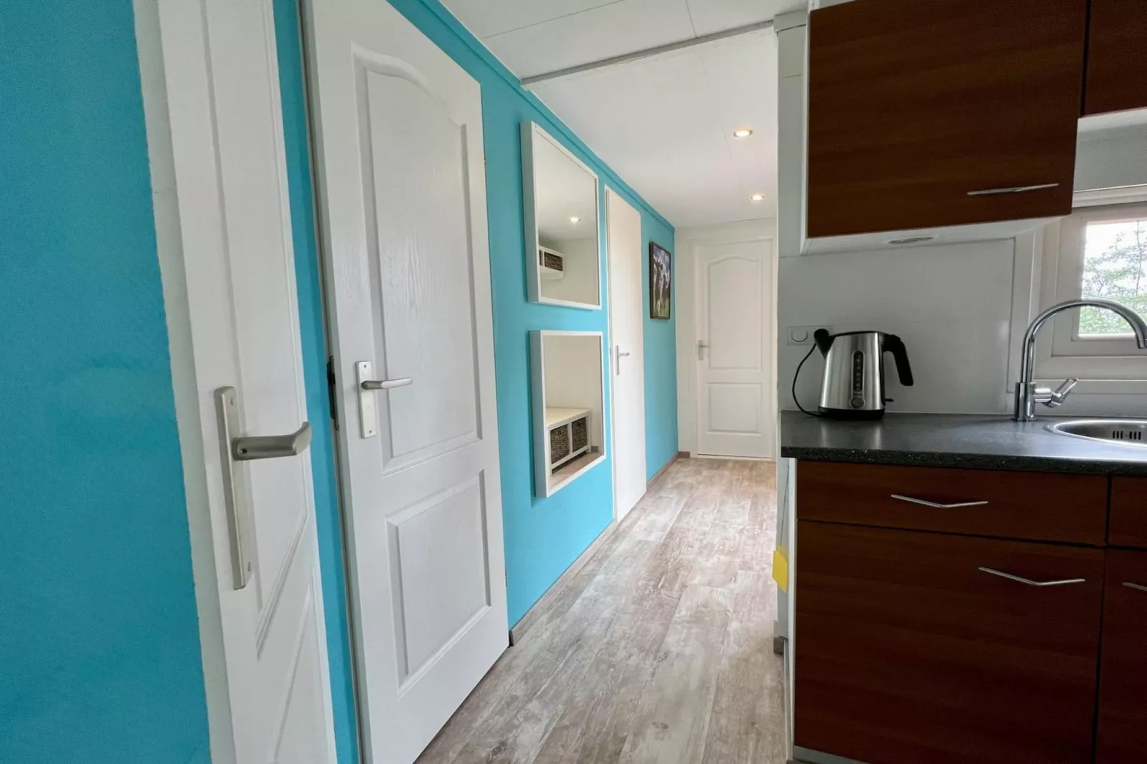 Campanula 208-Kitchen