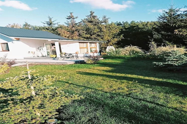 Budlejowy domek dla 4 osób w Kołczewie-Exterior summer