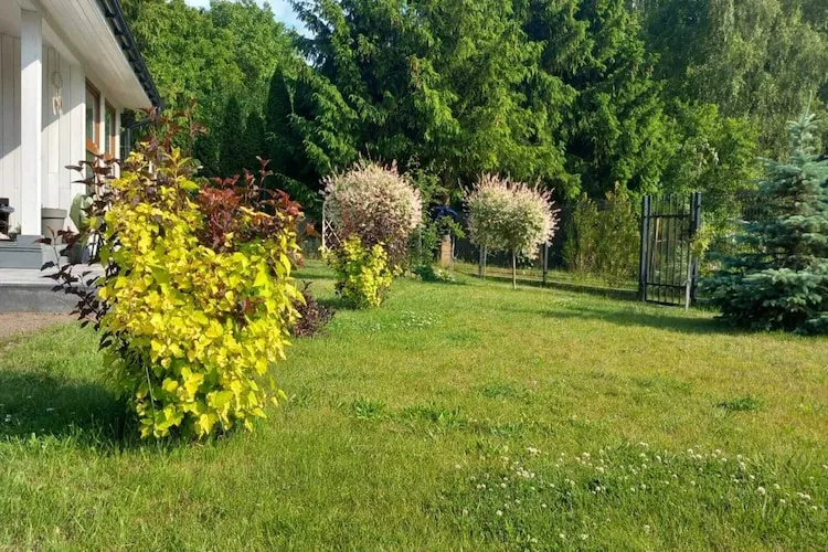 Budlejowy domek dla 4 osób w Kołczewie-Gardens summer