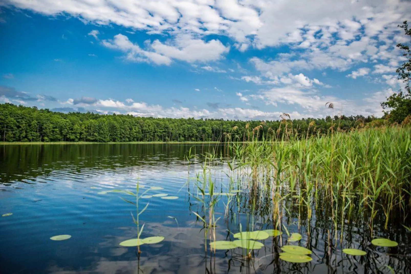 Dom nad jeziorem Klępnica-Areas summer 5km