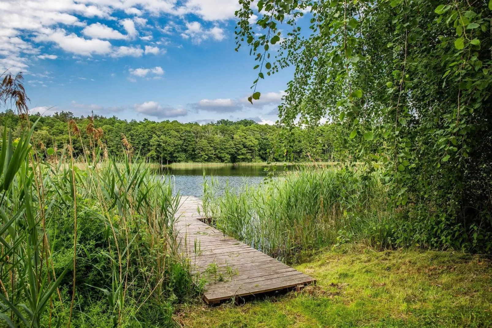 Dom nad jeziorem Klępnica-Areas summer 5km