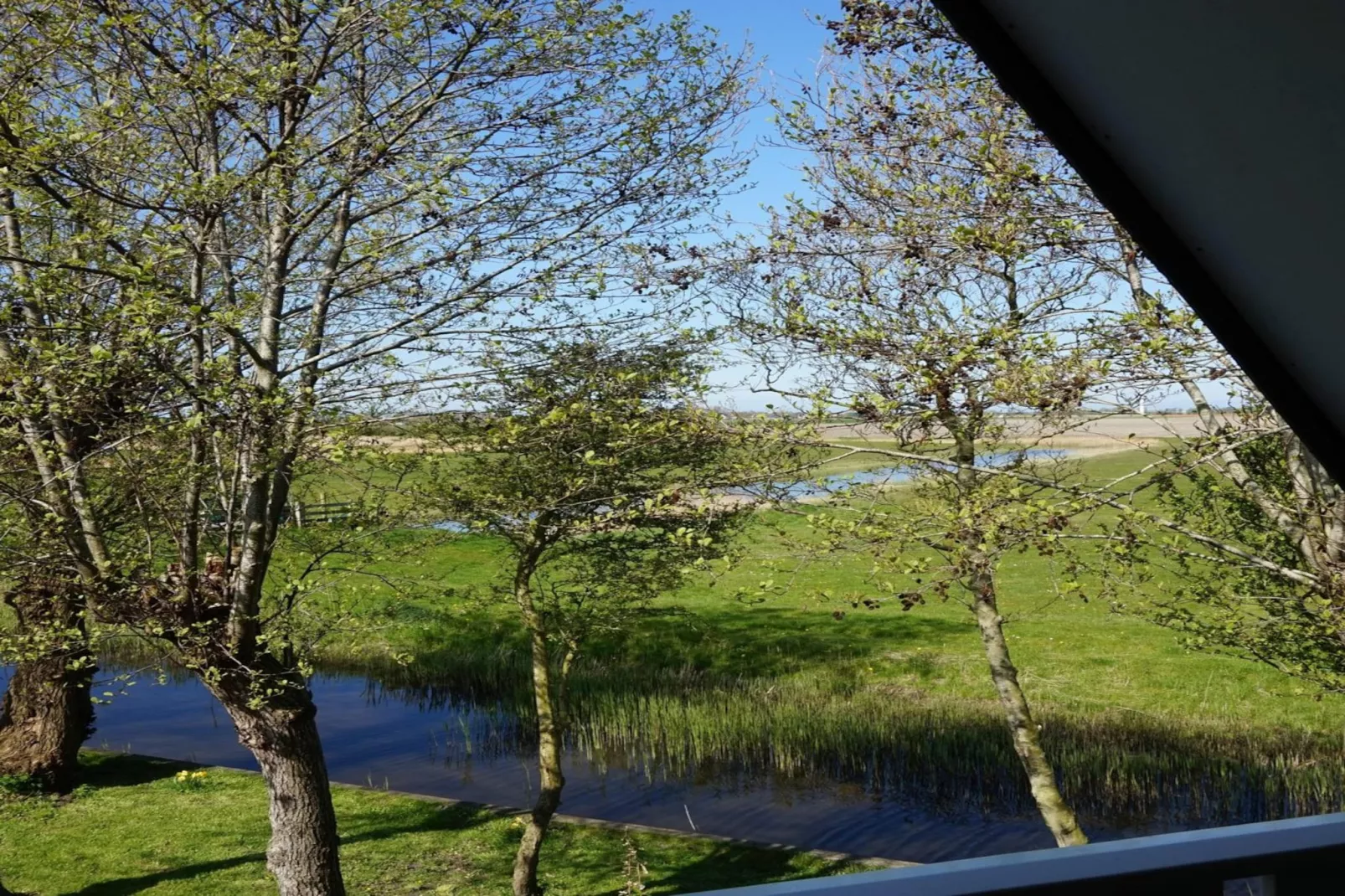 Vogelvrij 4-Areas summer 1km