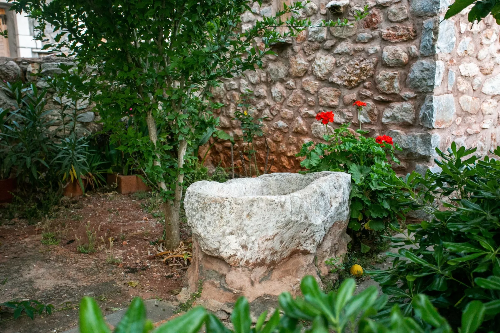 Charouda country house-Gardens summer