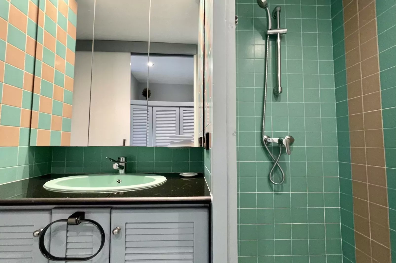 LA PINEDA I 1 3-6-Bathroom