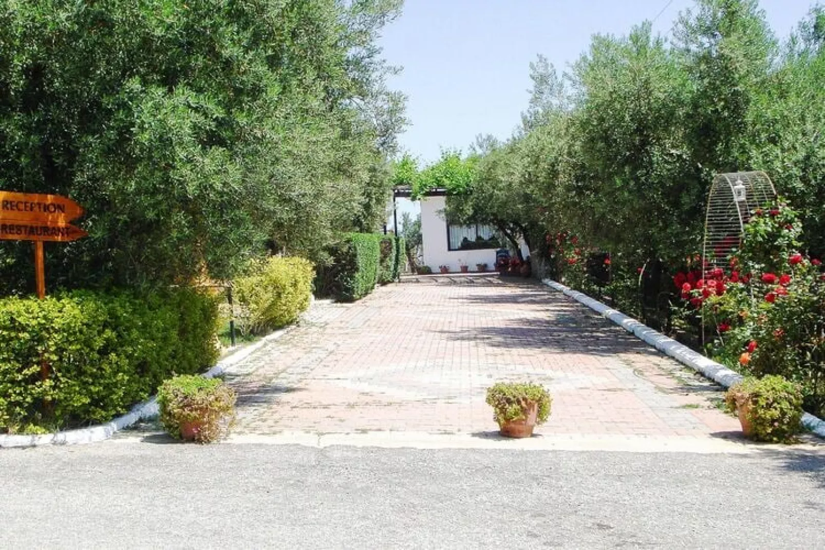 Holiday resort Asteris Village, Gerakini-Maisonette 150 qm-Jardin d'été