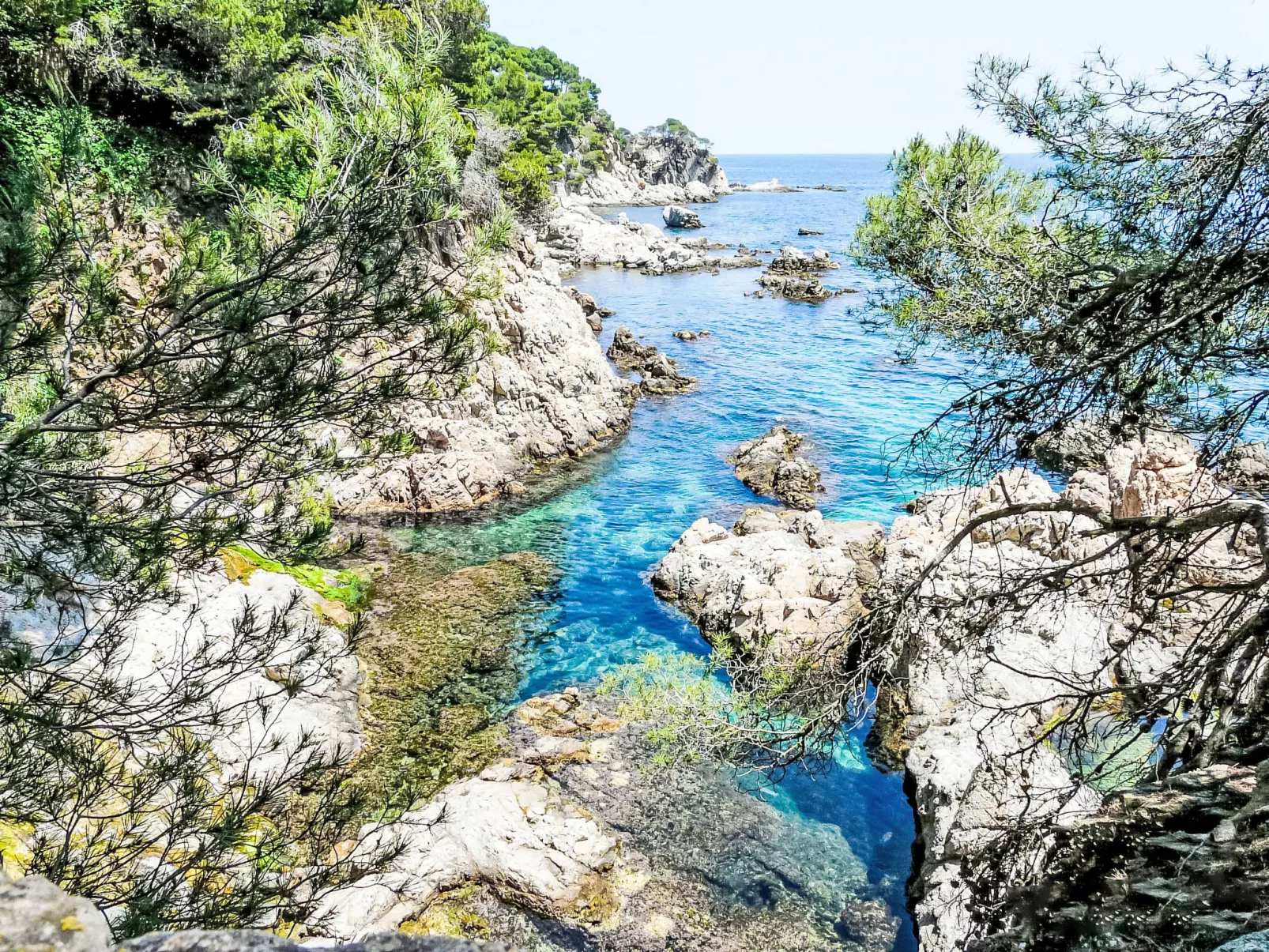 Llafranc Beach-Umgebung